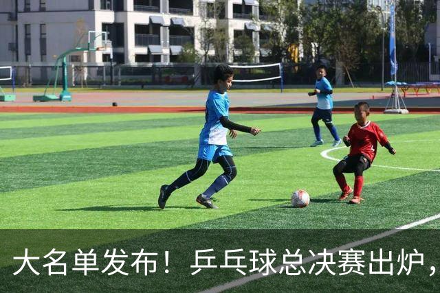 大名单发布！乒乓球总决赛出炉，国乒女单3人在列，男单暂无人！